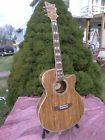 Esp Extone Exotic Wood Series Guitar Gig Bag Pro Setup