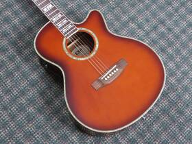 Xac10e Esp 2011 Ltd Xtone Series Acoustic/electric Sunburst With Hardshell Case