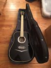 Estaban Eldarado Guitar With Amp And Instructional Dvds