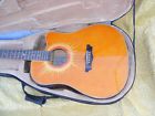 Esteban Estaban Acoustical Guitar Coral Sun With Case And Dvd