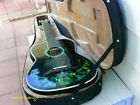 Esteban Vintage Signed Electric Acoustic Limted Guitar With Case Flss