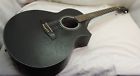 Ew10ase Ibanez Exotic Wood String Acoustic Guitar Black Model