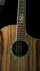 Ew20zwent Ibanez Acoustic Electric Guitar
