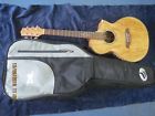 Ewc30sme-nt Ibanez Exotic Wood Series Acoustic Electric Guitar Bundle