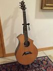 Exotic Classic Breedlove Cm 6 String Acoustic Electric Guitar W Case 875934006509