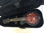 F-12 Gold Tone Acoustic Electric Mandolin Guitar New Hard Case