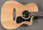 F-130rce Guild Gad F130rce Orchestra