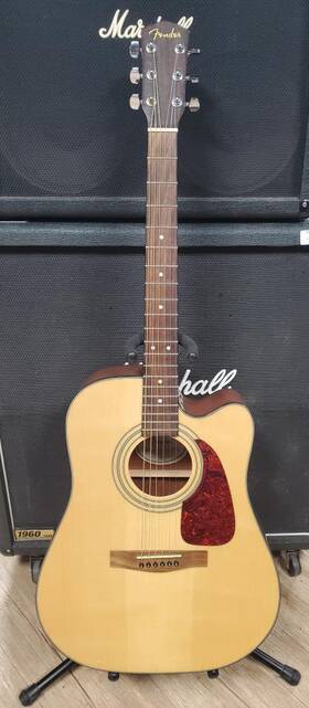 P03036184 Fender Dg-14sce