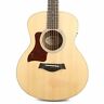 Fg01016016010021000 Taylor Gs Rosewood Natural 887766105817