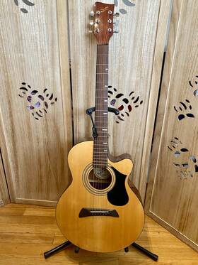 Mg531 First Act Acoustic Electric Guitar With Padded Travel Case