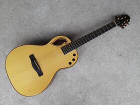 Gph-100sre Fishman Samick Greg Bennett Acoustic Electric Guitar - With B-stock