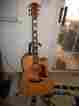 Fl-3 Cole Clark Acoustic Electric Guitar