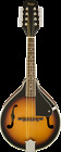 Fm-100 Fender Fm Mandolin