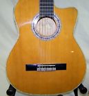 Ao3013637 G-100 Esteban Music Guitar