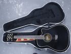 G-334bc Takamine Acoustic Electric Guitar Case