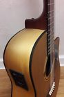 G20-12-ce Garrison Gibson String Guitar Rare