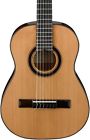 Ga15nt-1-2 Ibanez Classical Acoustic Guitar 887802058305