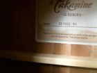 Be8005265 Gd10ce-ns Takamine Guitar