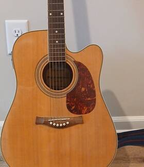 Giannini Gf-20eln Performance Acoustic-electric Guitar Bag And Capo