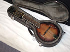 Gm-12 L Gold Tone Acoustic Electric Lefty Mandolin Guitar New Case