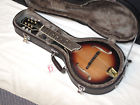 Gm-6 Gold Tone Electric Mandolin Guitar New Hard Case