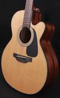 Gn30ce Takamine Series Nex Body