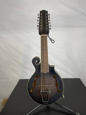 Gold Tone 730553801129 Excellent F-12 Long-scale Manditar A-style 12-string Acoustic-electric