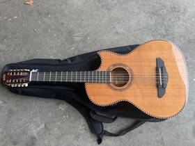 Gdg-886e Gosila 10 String Electric Acoustic Bajo Quinto Solid Cedar To Second-hand Goods