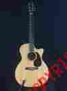 Gp14 Martin Custom Acoustic Electric Guitar East Indian Rosewood Spruce Top