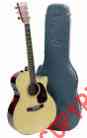 Gpcpa2 Acoustic Martin Mahogany Case Performing Artist Electric Guitar