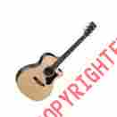 Gpcpa4r Gpcpa4rosew Martin Rosewood Performing Artist Acoustic Electric Guitar With Ca 729789411769