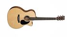 Gpcrsgt Martin Grand Performance Cutaway 729789476959
