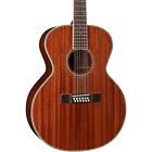 Gs-1-12 Gs112 Wg Grand Concert Autograph Guitar Natural 7890443018518
