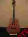 Gs5e Taylor Genuin Guitar Expression System Cedar Mahogany Hard Shell Case Strap