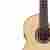 Guhycor-05131 Cordoba Fusion 14 Maple Acoustic-electric Nylon String Classical Guitar Natural 809870051316