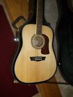 Hd20s Washburn Beautiful New Acoustic Guitar