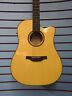 Hd250-ce Crafter Acoustic Electric Natural