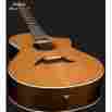 Herringb0ne Breedlove A Acoustic-electric Beauty