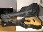 Fe3020828 Htc-eq24 Crafter Silver Series Guitar