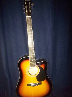 Huntington Ga415c-ts Acoustic/electric - Bound Body/neck With Sv-540 4 Band New