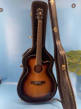 Ibanez Aeg10ii-vs-r3-01 Beautiful Acoustic Electric Guitar Case