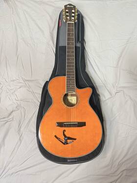 Ibanez Aeg10n11 Acoustic-electric Nylon String Guitar