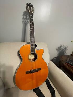 Aeg10nii-tng-3r-01 Ibanez Beautiful Tangerine Acoustic Electric Guitar