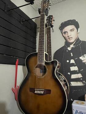 Aeg12 Ibanez - Acoustic/electric Guitar 12 String