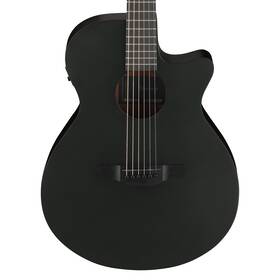 Aeg621bot Ibanez Aeg621 Acoustic-electric Guitar - Black Out