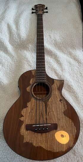 Aewb50 Ibanez Ivanez Acoustic Electric Base