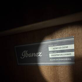 Ibanez Aewc10-dgm Acoustic-electric Guitar 6-string Grand Auditorium Natural