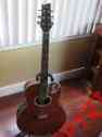 Ibanez-ep-9-rrb-euphoria -steve Ohsc Vai-acoustic Electric-rootbeer-jem Tkl