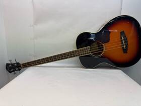 Sgbe110-vs Ibanez Guitar