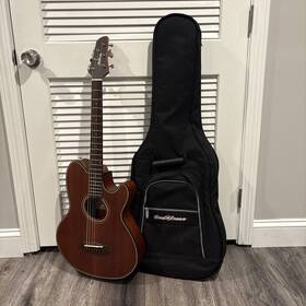 Tcy74-opn1201 Ibanez Talman Open Pore Natural Acoustic/electric Guitar And Bag